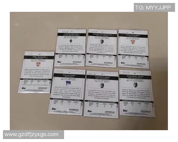 德甲足球球星卡收藏趋势与价值解析全面探索球迷热爱的独特魅力